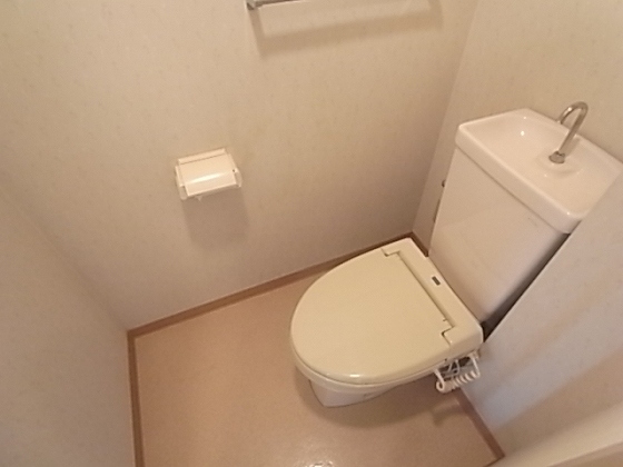 その他写真9
