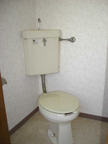 その他写真8