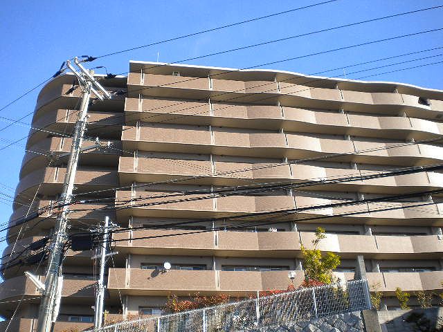 その他写真2