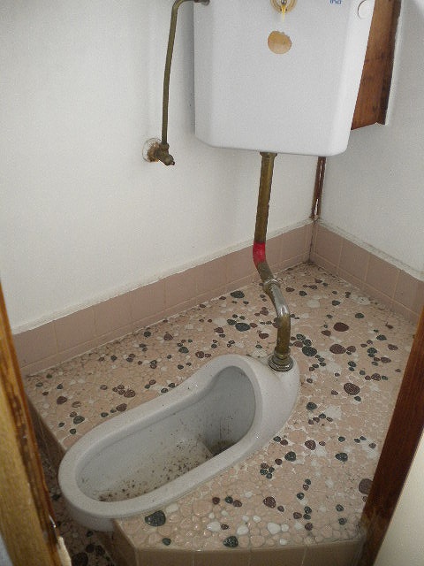 その他写真10
