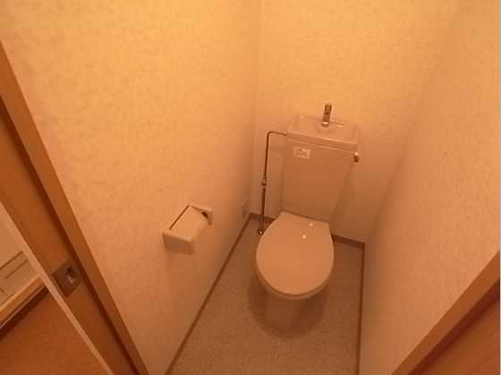 その他写真6