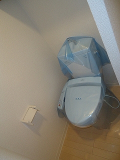 その他写真7