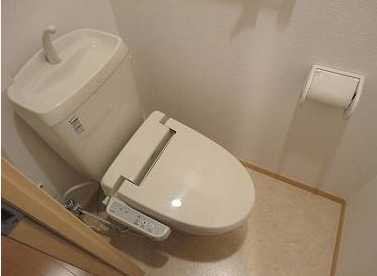 その他写真7
