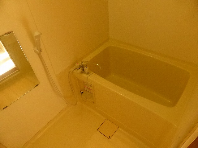 その他写真8