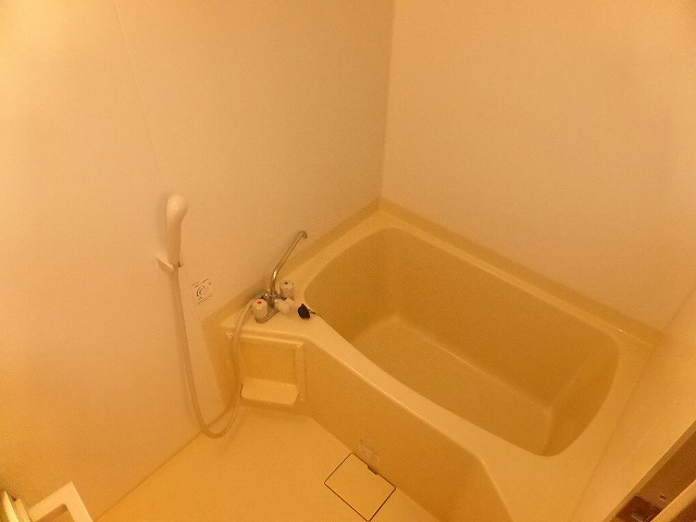 その他写真7