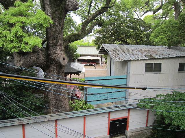 その他写真10