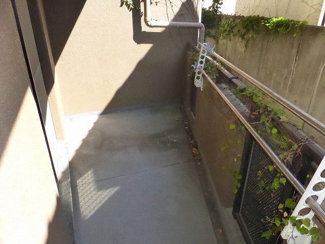 その他写真10