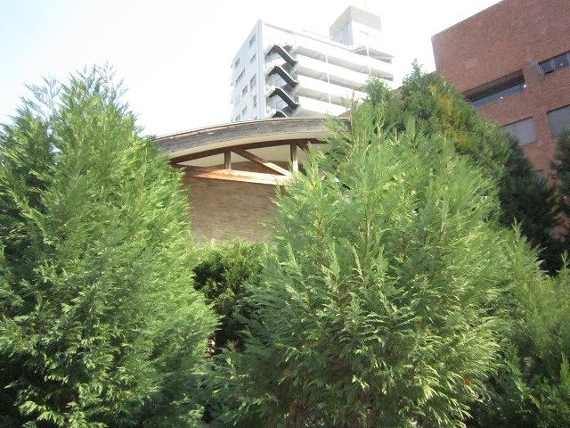 その他写真9
