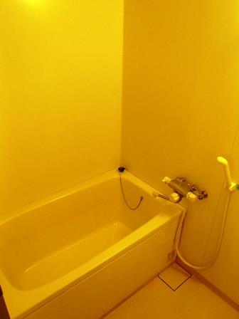 その他写真7