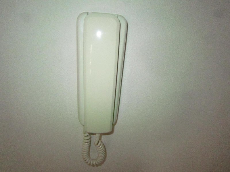 その他写真9