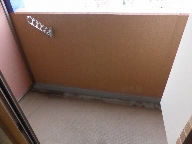 その他写真10