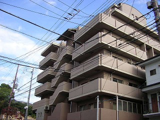 その他写真2