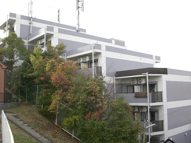 その他写真2