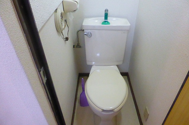 その他写真8