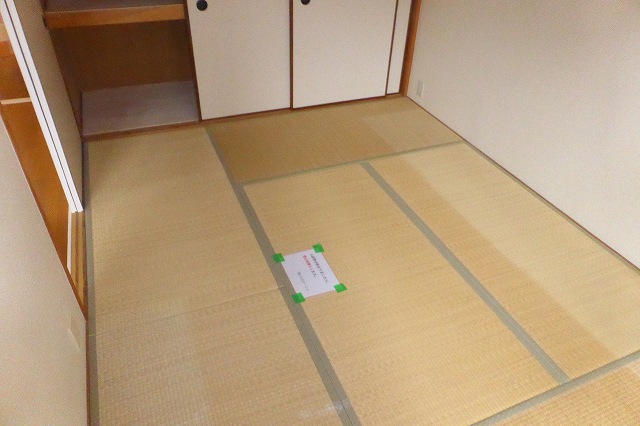 その他写真5