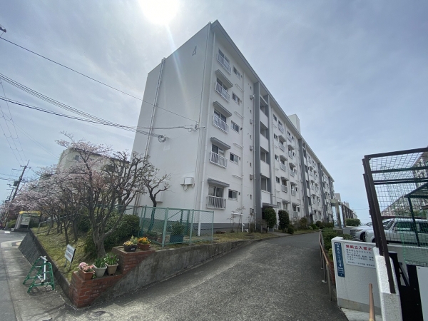 その他写真2