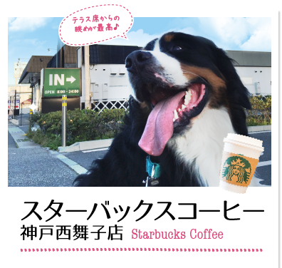 スターバックスコーヒー 神戸西舞子店