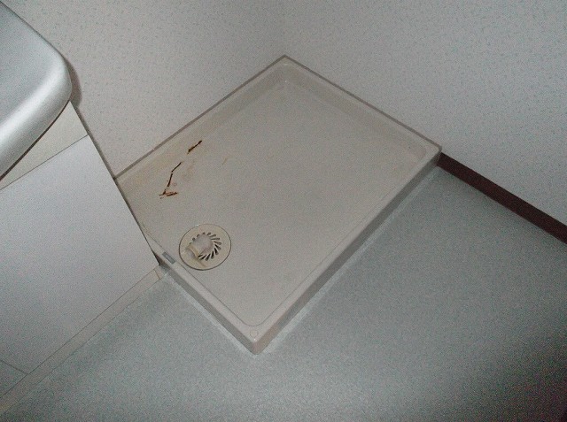 その他写真6