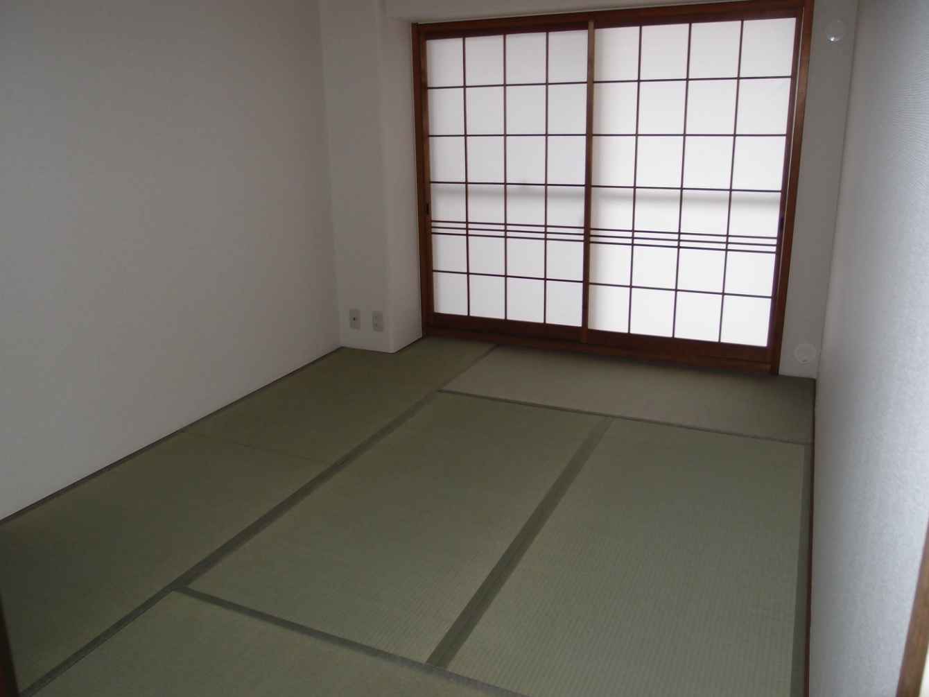 その他写真5