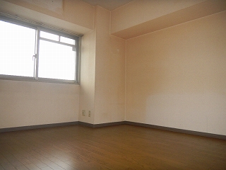 その他写真7