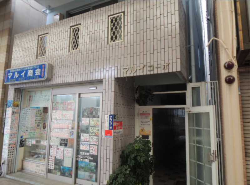 その他写真2