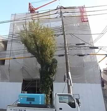 その他写真2