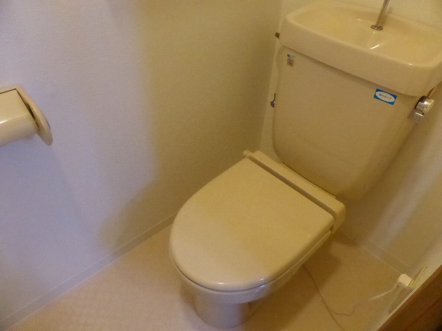 その他写真8