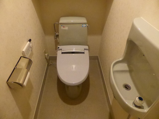 その他写真7