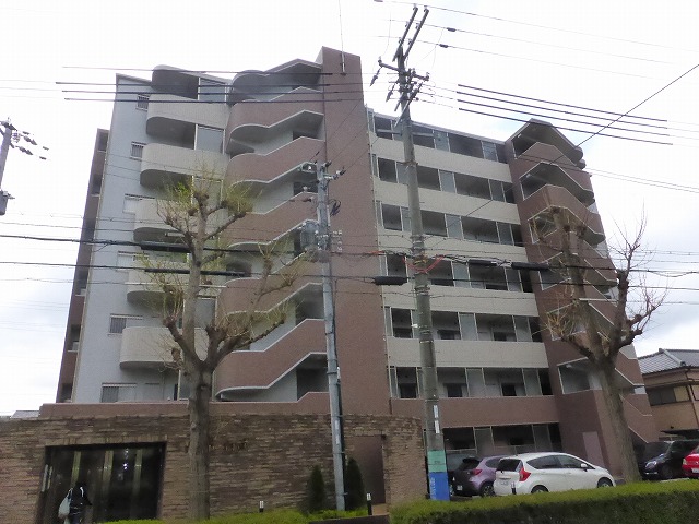 その他写真2